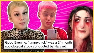 The Timmy Thick 'Harvard Experiment' Hoax