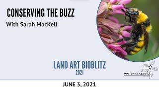 Land Art BioBlitz 2021 - Conserving the Buzz