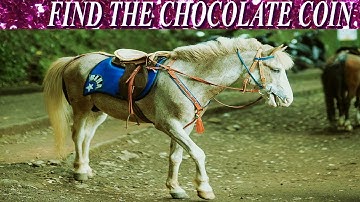 Finding Game | Find The Hidden Object | AR Entertainment | Master Mind Game | Brain Booster