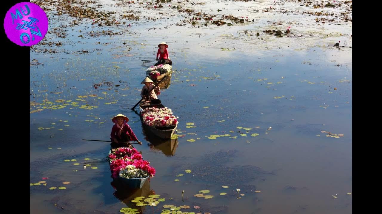 Qunol sleep, relaxium sleep free trial, relaxium sleep aid at walmart