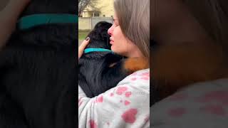 Top 2 Deadly Dog Breeds In The World