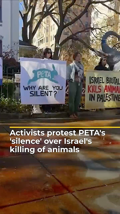Pro-Palestine activists protest PETA's 'silence' over Israel's killing of animals | AJ#shorts