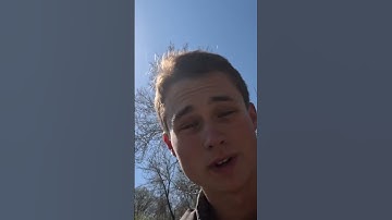 Don’t Pick Up Snapping Turtles! #shorts