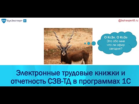 Код ОКЗ и другие изменения СЗВ-ТД с 1 июля 2021 в 1С - подробный разбор