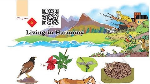 Living in Harmony|Class 3| EVS|Chapter 6|NCERT |FULL CHAPTER EXPLANATION IN HINDI