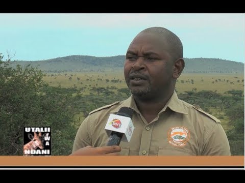 Video: Moss Muhimu - Mpenzi Wa Hifadhi Safi