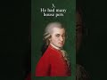 5 Facts You Didn&#39;t Know about Mozart | #classicalmusic #mozart #musichistory