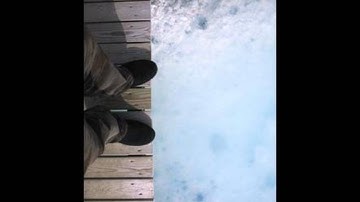 B.M. Sharp - Carapace