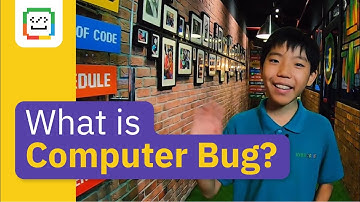 What is Computer Bug?