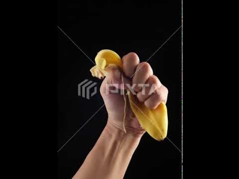 banana go squeak