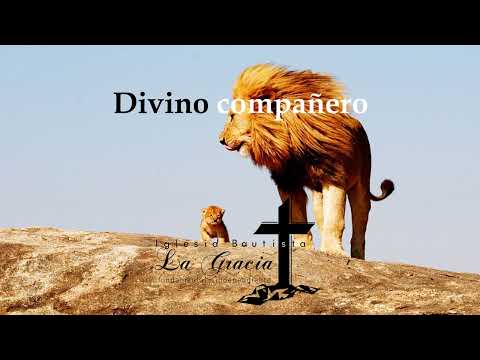 Divino compañero -