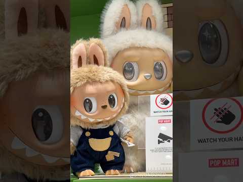 LA BUBU VS ZIMOMO Which Labubu Doll Would You Choose Why Sing Popmart Thailand Labubu Song 