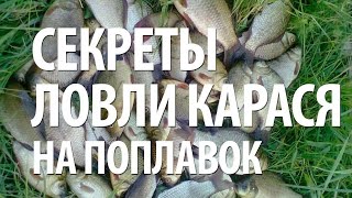 Ловля карася на поплавочную удочку. Секреты рыбалки на карася(Рыболовный интернет-магазин: http://ali.pub/bctei В видео, ловля карася поплавочной снастью. Секреты карасёвой рыба..., 2015-10-09T13:52:40.000Z)