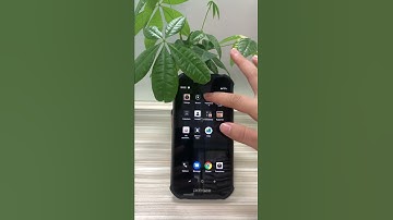 DOOGEE S40 Setting