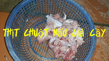 Thịt chuột nấu giả cầy sau chiều mưa đi đào vất vả .