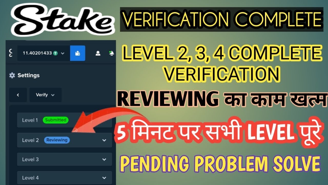 Stake  verification level 2 | reviewing problem