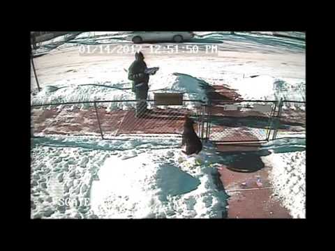Thug Life Version Postal Carrier Throws Mail In The Snow