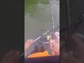 August14, 2023..bass fishing Michigan!#bass#fun#fishing#michigan#summer#fish#boat#smallmouthbass