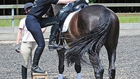 Horse Training: Issues at the Mounting Block