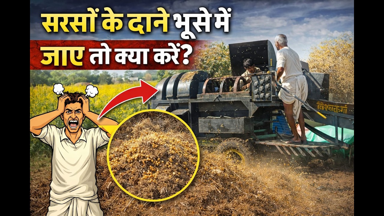 Thresher Machine की Setting करते-करते थक गए? 😵‍💫 | दाना फिर भी खराब? | अब पूरा Solution देखिए