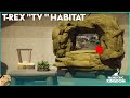 IMAGINE seeing a T-Rex on THAT TV! Flintstone Valley Prehistoric Kingdom
