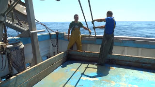 Une journée en mer avec le chalutier 