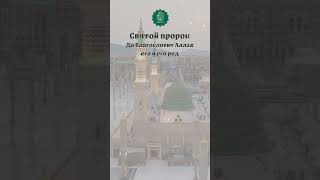 Пророк (с) о своем семействе