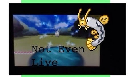 (Not Live) Shiny Barboach