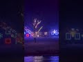 Christmas LED Lights