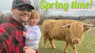 Springtime walks on the farm