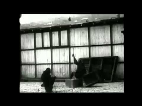 Chimpanzee Insight (Kohler Study Footage)