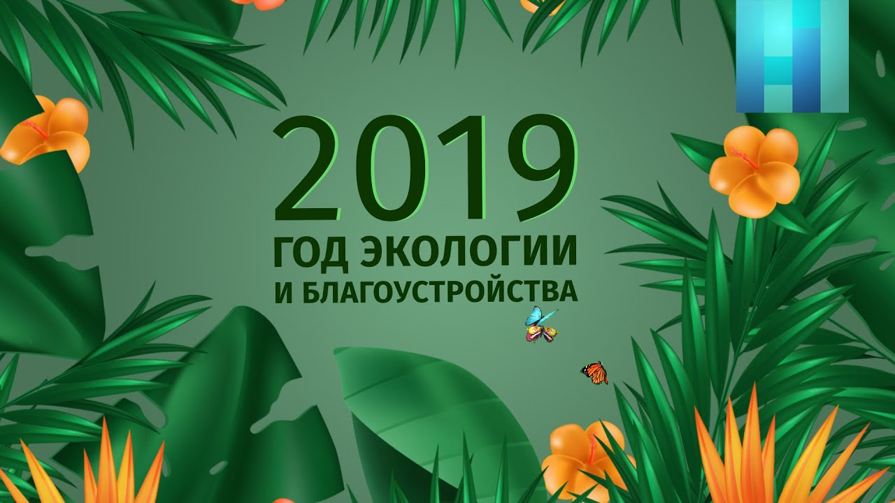 2020 год экологии. Экология 2019 ПМР. Официальная заставка 2022 года экологии в Сочи.