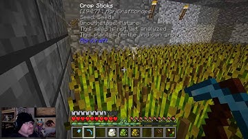 FTB Regrowth 1.0 Prerelease Playtesting Part 18 Refocus on Witchery