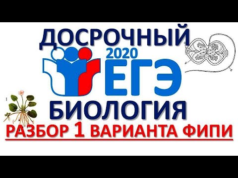 ДОСРОЧНЫЙ ЕГЭ 2020 БИОЛОГИЯ (Разбор 1 варианта)