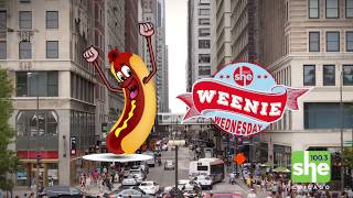 Jenny Milkowski Weenie Wednesday Gold Coast Dogs (5-23-18)