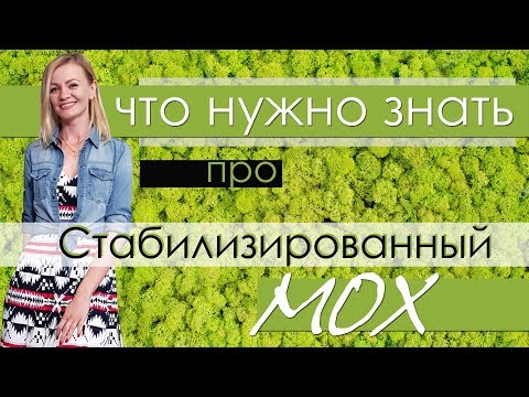 Видео: Есть ли поры у мха?