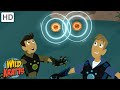 Creature Power Adventure Quiz