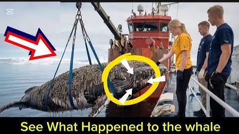 A humpback whale, injured by barnacles, was successfully rescued by a rescue team.