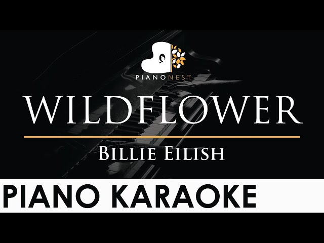 Billie Eilish - WILDFLOWER - Piano Karaoke Instrumental Cover with Lyrics class=