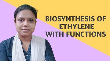 BIOSYNTHESIS OF ETHYLENE WITH FUNCTIONS //PLANT PHYSIOLOGY