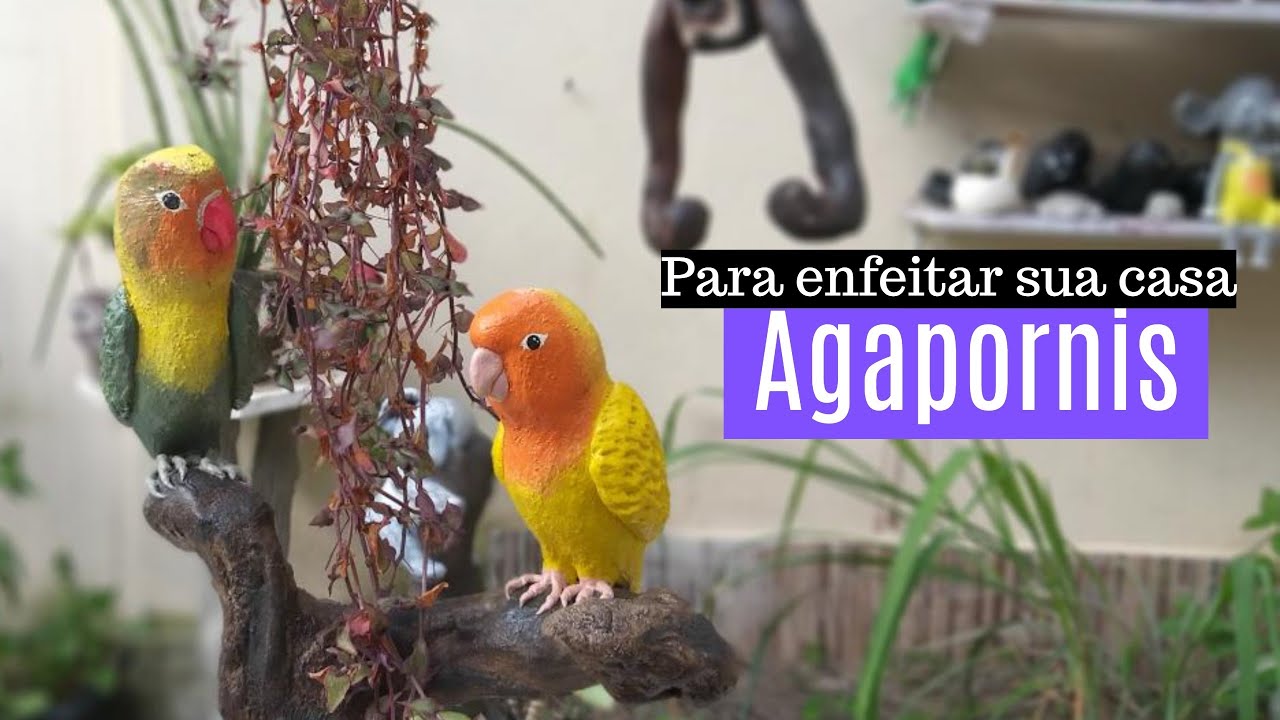 DIY- AGAPORNIS COM CIMENTO & ISOPOR (VAMOS RECICLAR)