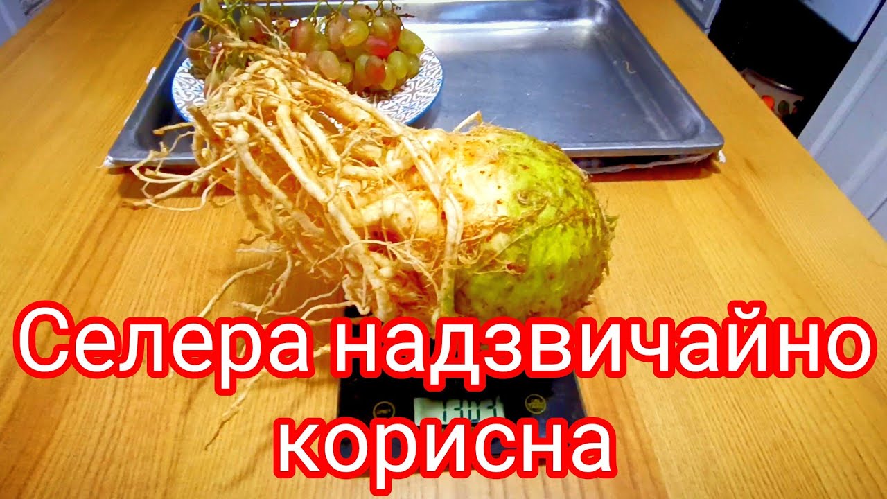 Селера надзвичайно корисна