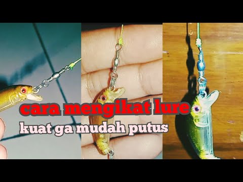 3 simpul Cara