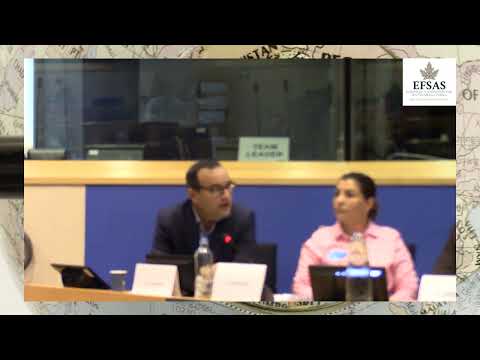 Bashir Ahmad Gwakh (Journalist Radio Free Europe) speaking during EFSAS conference in EU Parliament