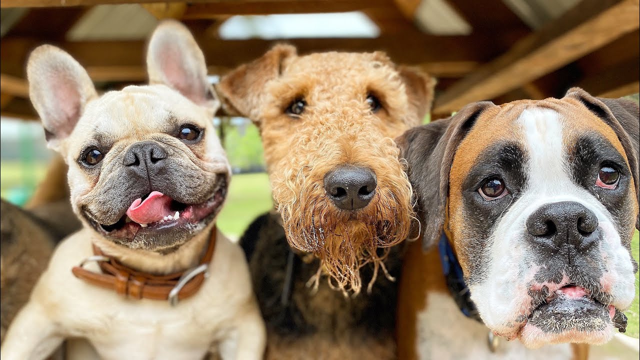 Wednesday at the farm