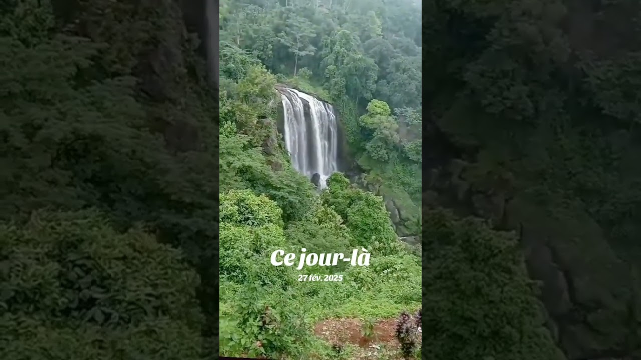 الشيخ صالح اللحيدان