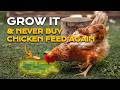 Save $600/Year: FREE Chicken Feed (Forever)
