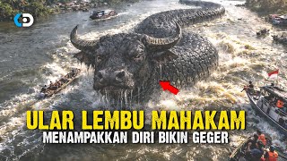 Download Lagu Bikin Geger⁉️ Kesaksian Warga yang Melihat Kemunculan Ular Lembu di Sungai Mahakam  MP3