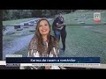 Karma de neam a românilor