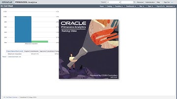 Oracle Primavera Analytics
